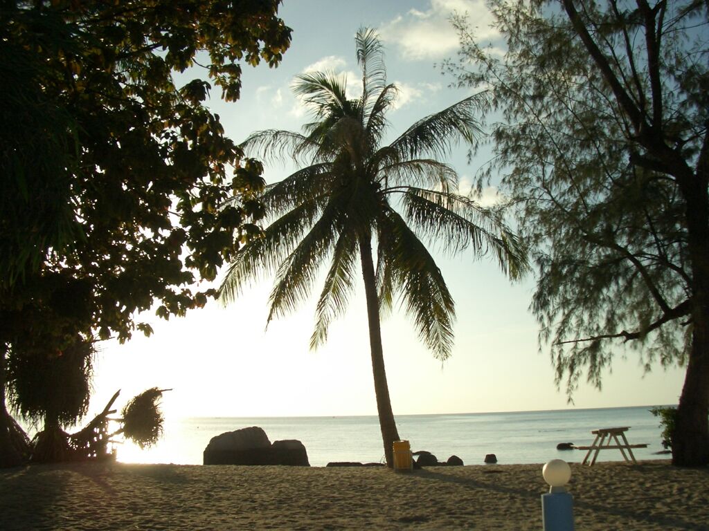 Click to See Next Image